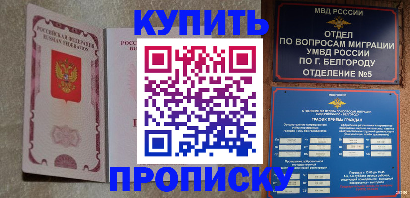 где прописаться в Тольятти